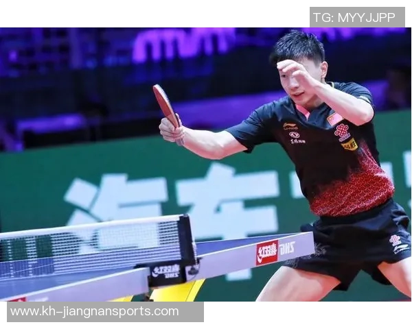 运动数据南京排球队战术表现深度解析与大满贯点评 运动数据南京排球队战术表现深度解析与大满贯点评